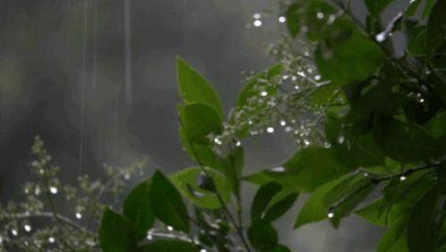 DƬ